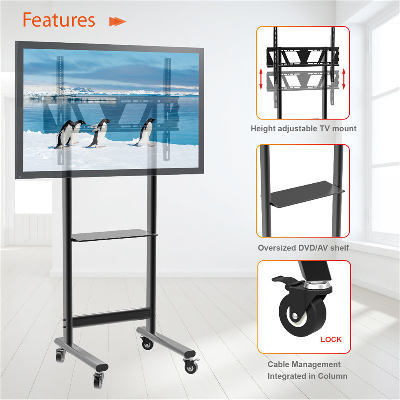 floor standing TV bracket4