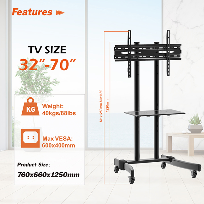 Economy Mobile TV Stand 55 Inch